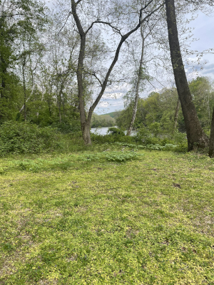 Lehigh River Image